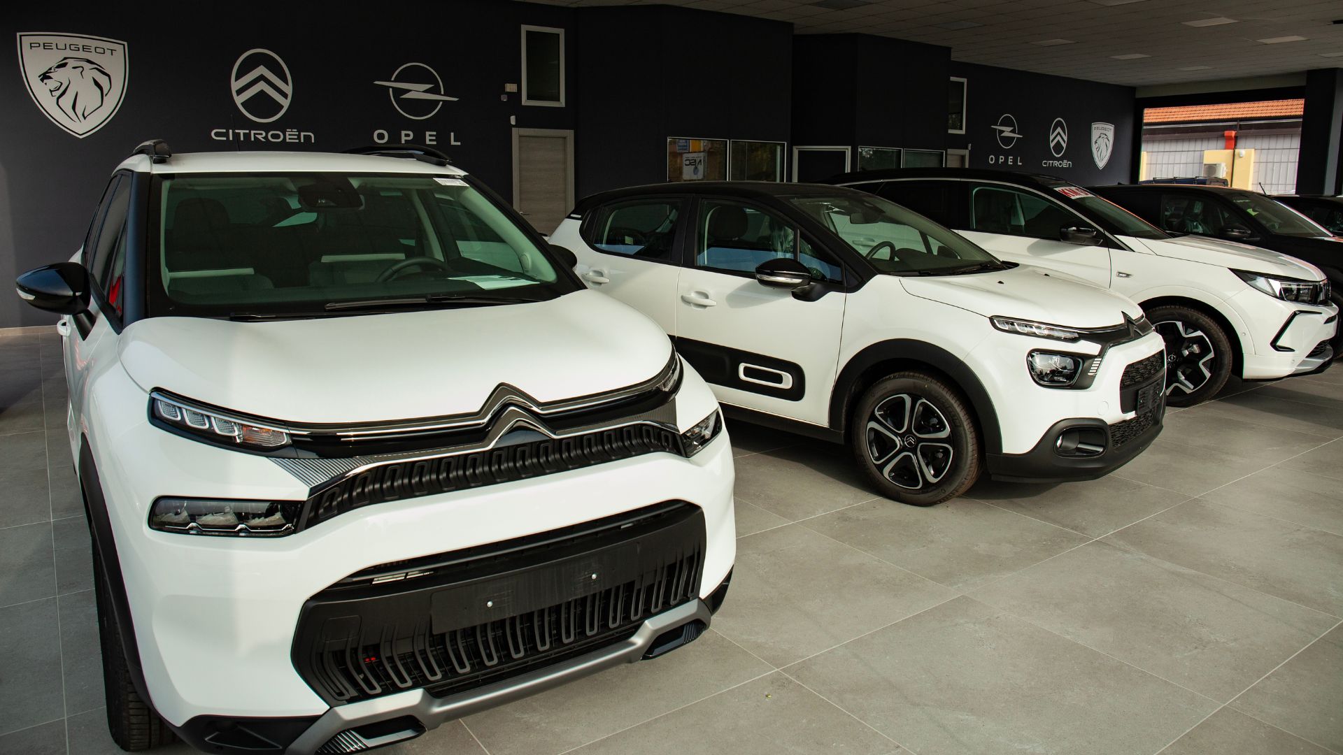 showroom