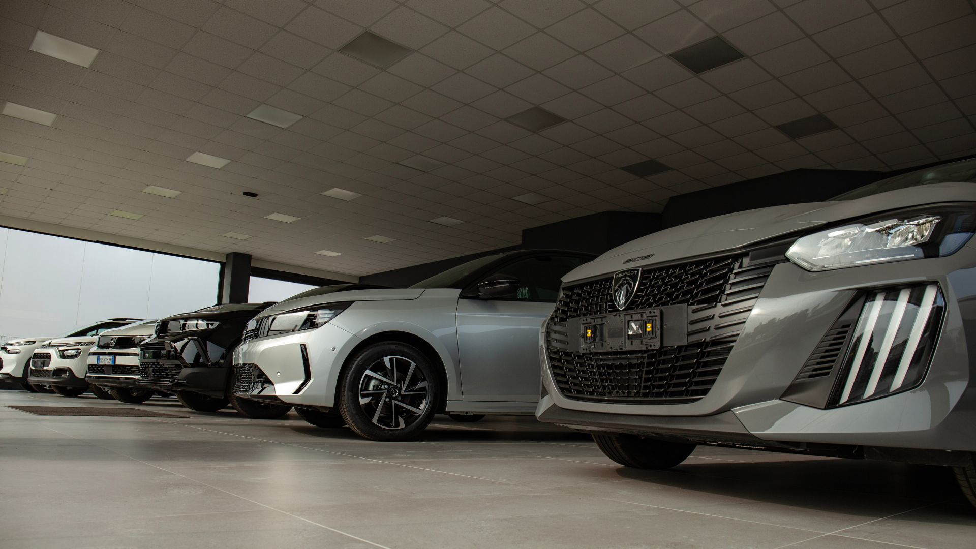 showroom