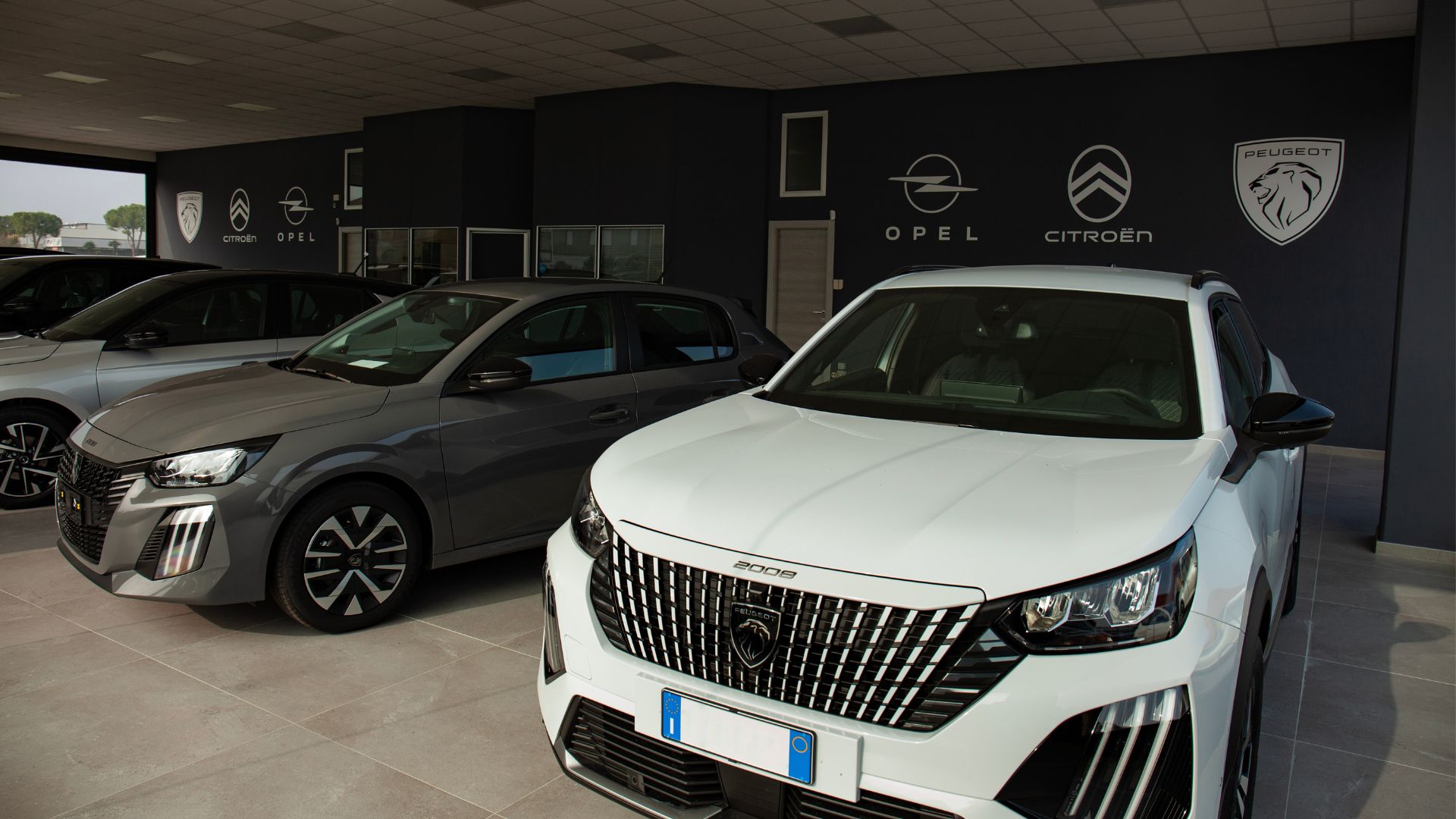 showroom