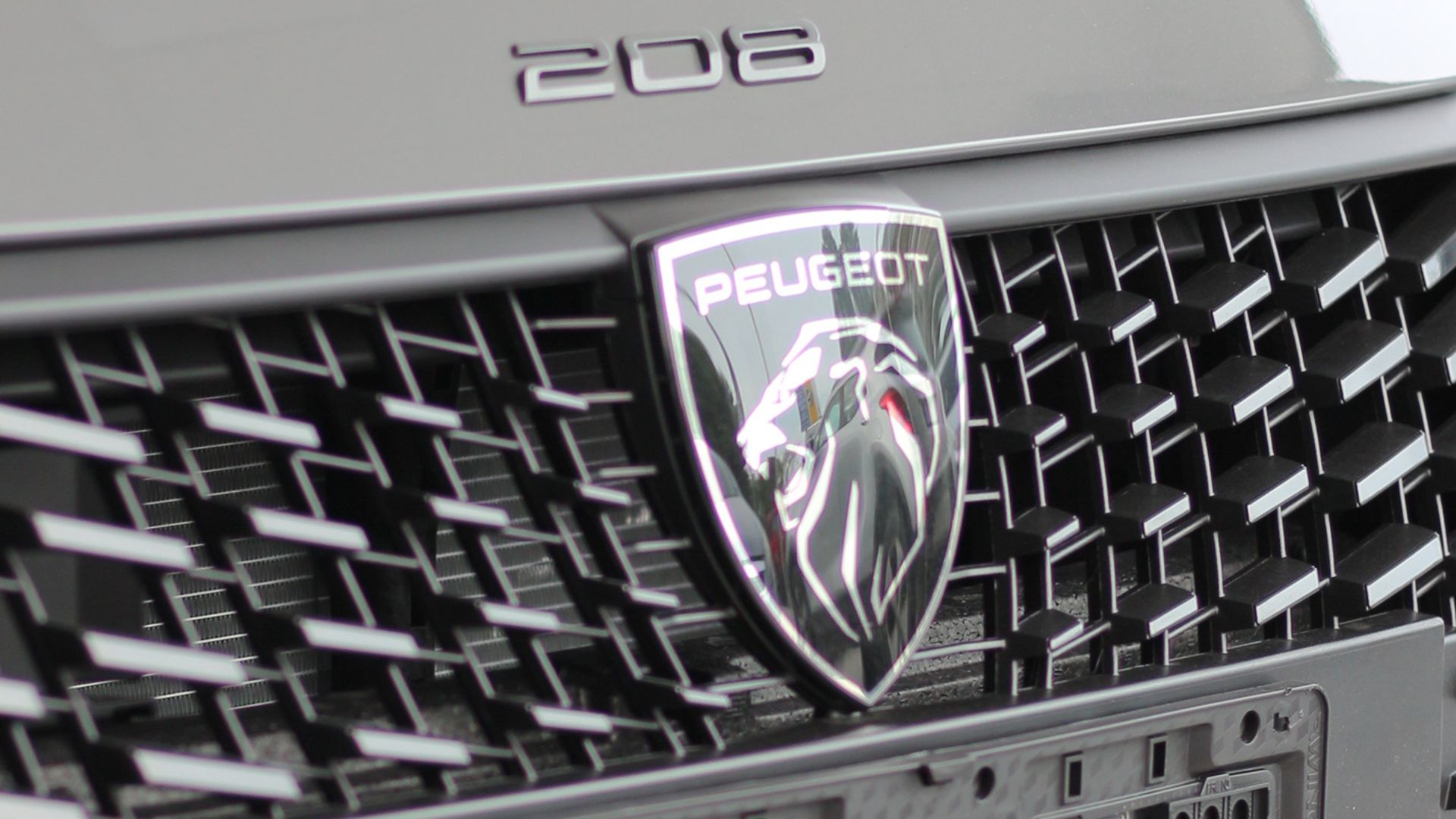 logo pegeau