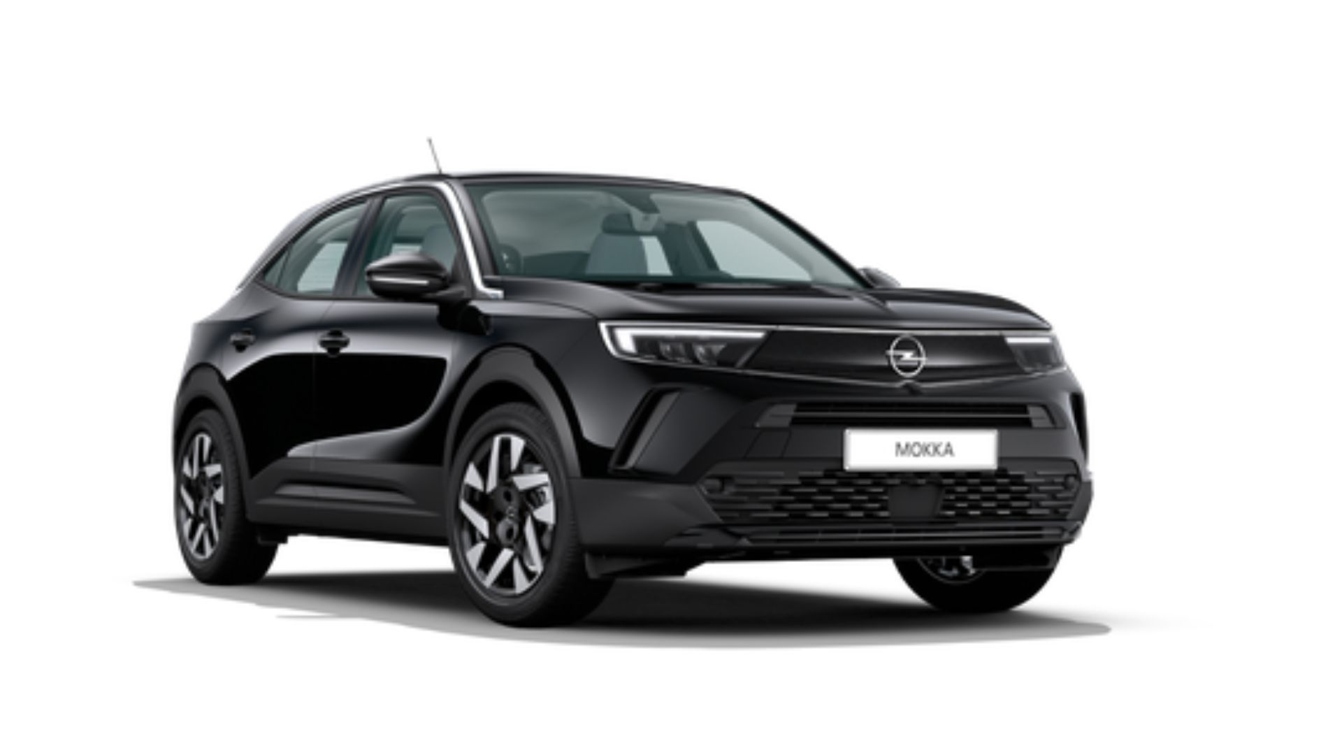 mokka